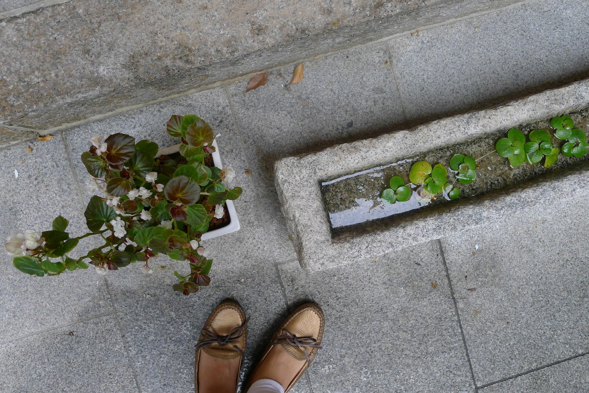 Xiwoo Hanok Guesthouse โซล ภายนอก รูปภาพ